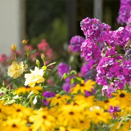 Hotel Winkler Neumarkt am Wallersee