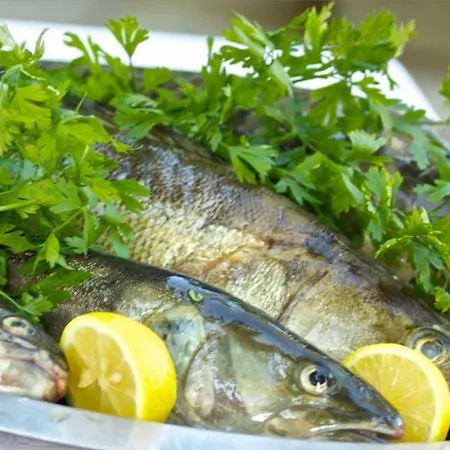 Winkler 4* Neumarkt am Wallersee